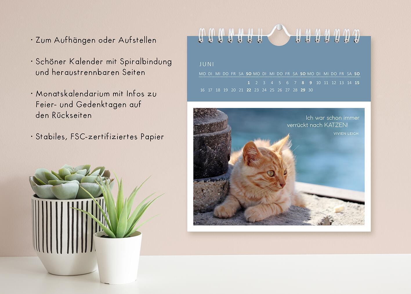 Bild: 4014489133667 | Wandkalender Katzenweisheiten 2025 | Kalender | 26 S. | Deutsch | 2025