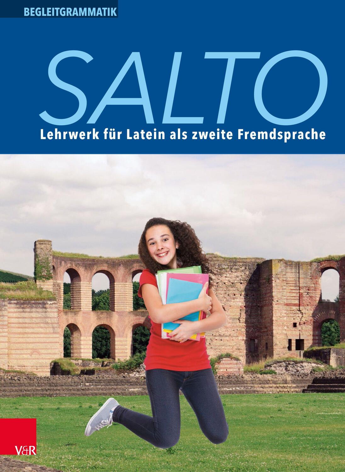 Cover: 9783525717837 | Salto Begleitgrammatik | Henning Haselmann (u. a.) | Taschenbuch