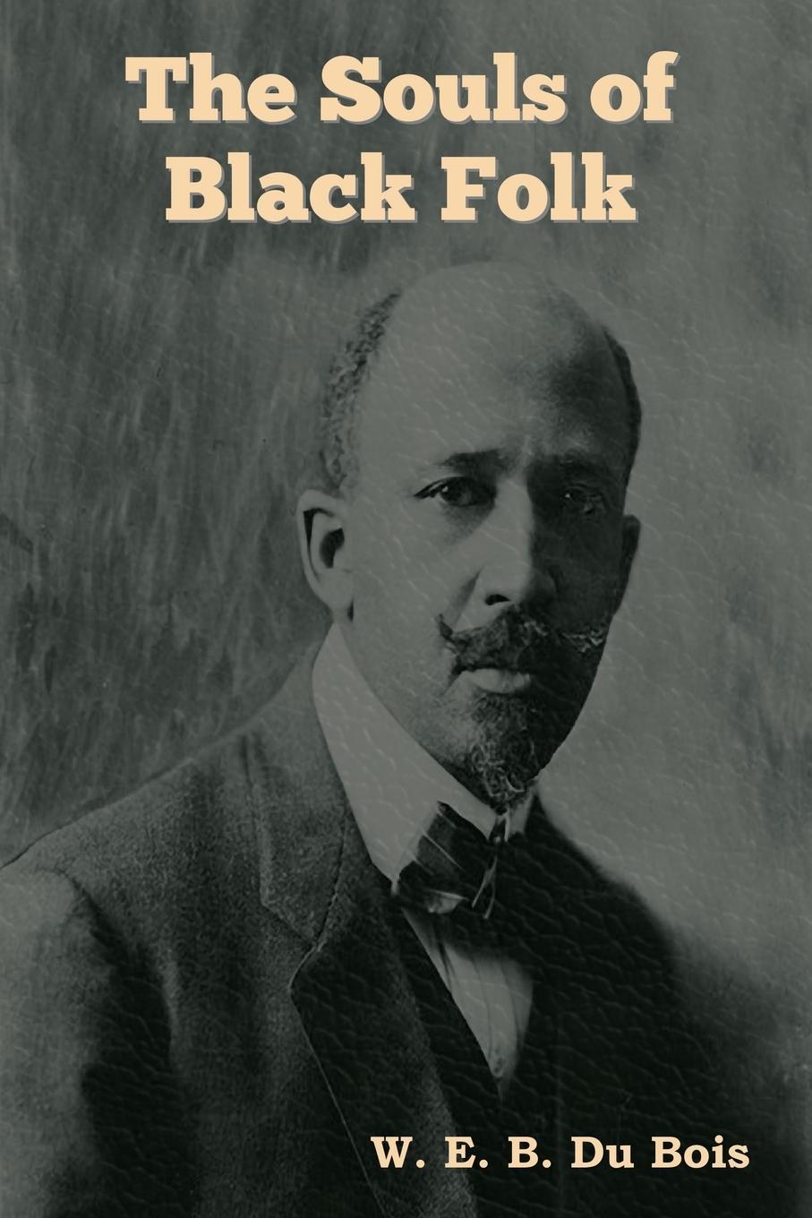 Cover: 9781644399019 | The Souls of Black Folk | W. E. B. Du Bois | Taschenbuch | Paperback