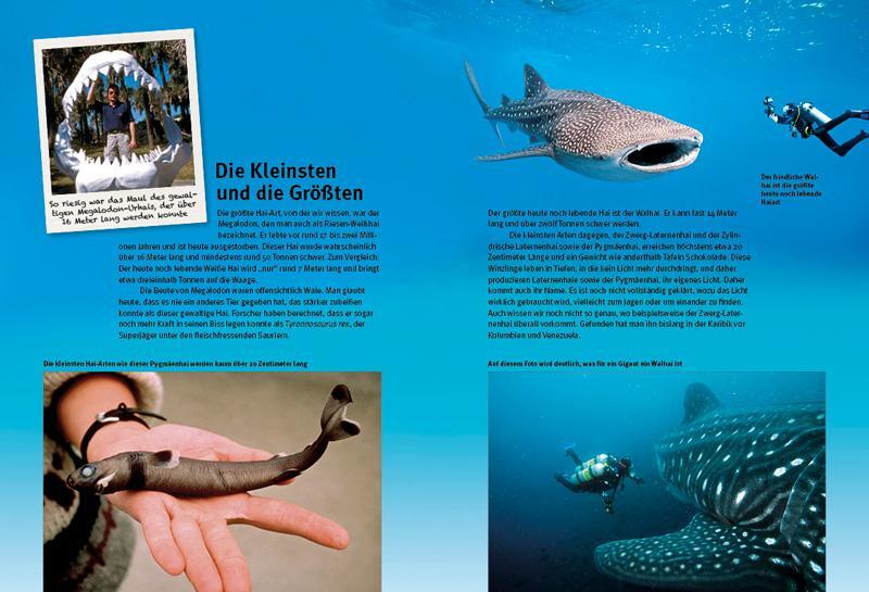 Bild: 9783866592681 | Entdecke die Haie | Erich Ritter | Buch | 64 S. | Deutsch | 2015
