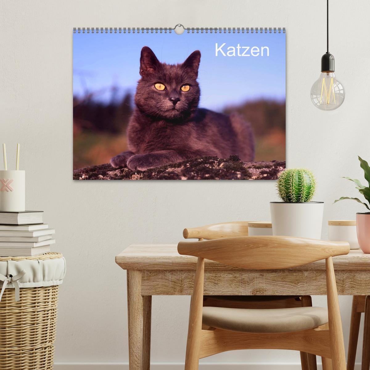 Bild: 9783435821259 | Katzen (Wandkalender 2025 DIN A3 quer), CALVENDO Monatskalender | 2025