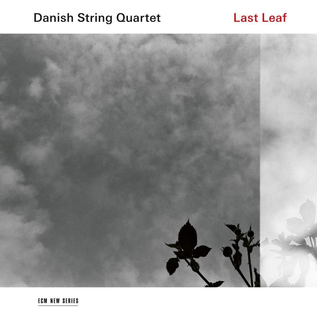 Cover: 28948157464 | Last Leaf | Danish String Quartet | Audio-CD | Deutsch | 2017