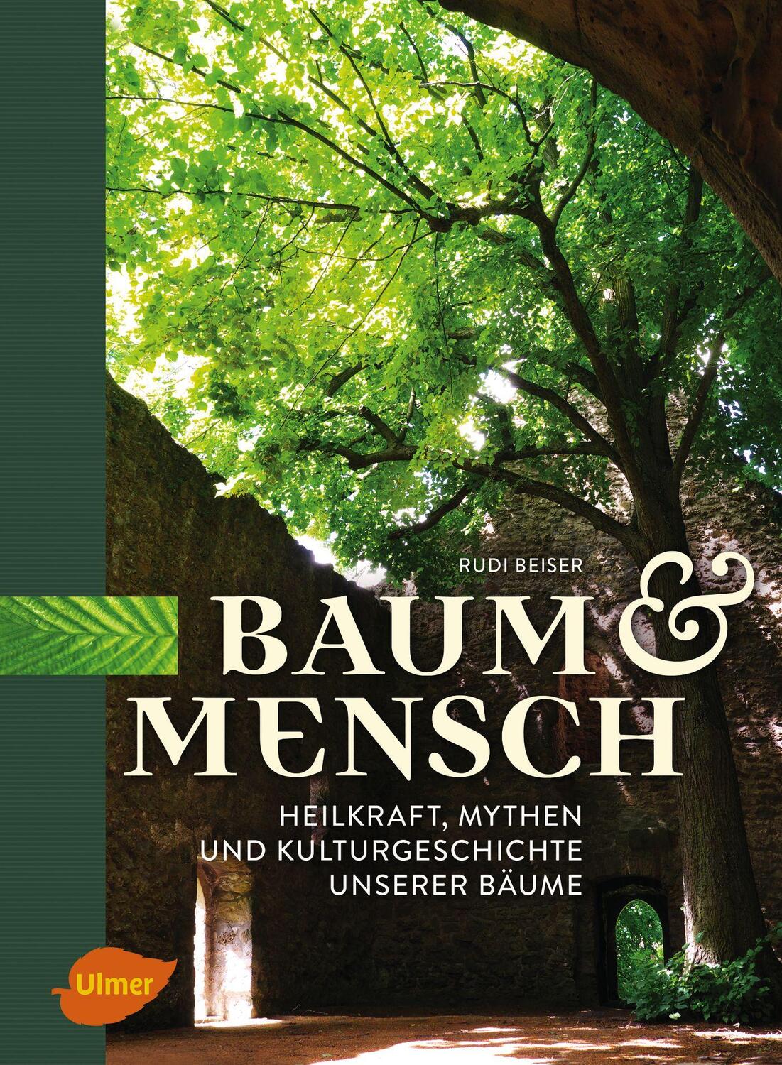 Cover: 9783818600723 | Baum und Mensch | Heilkraft, Mythen und Kulturgeschichte unserer Bäume