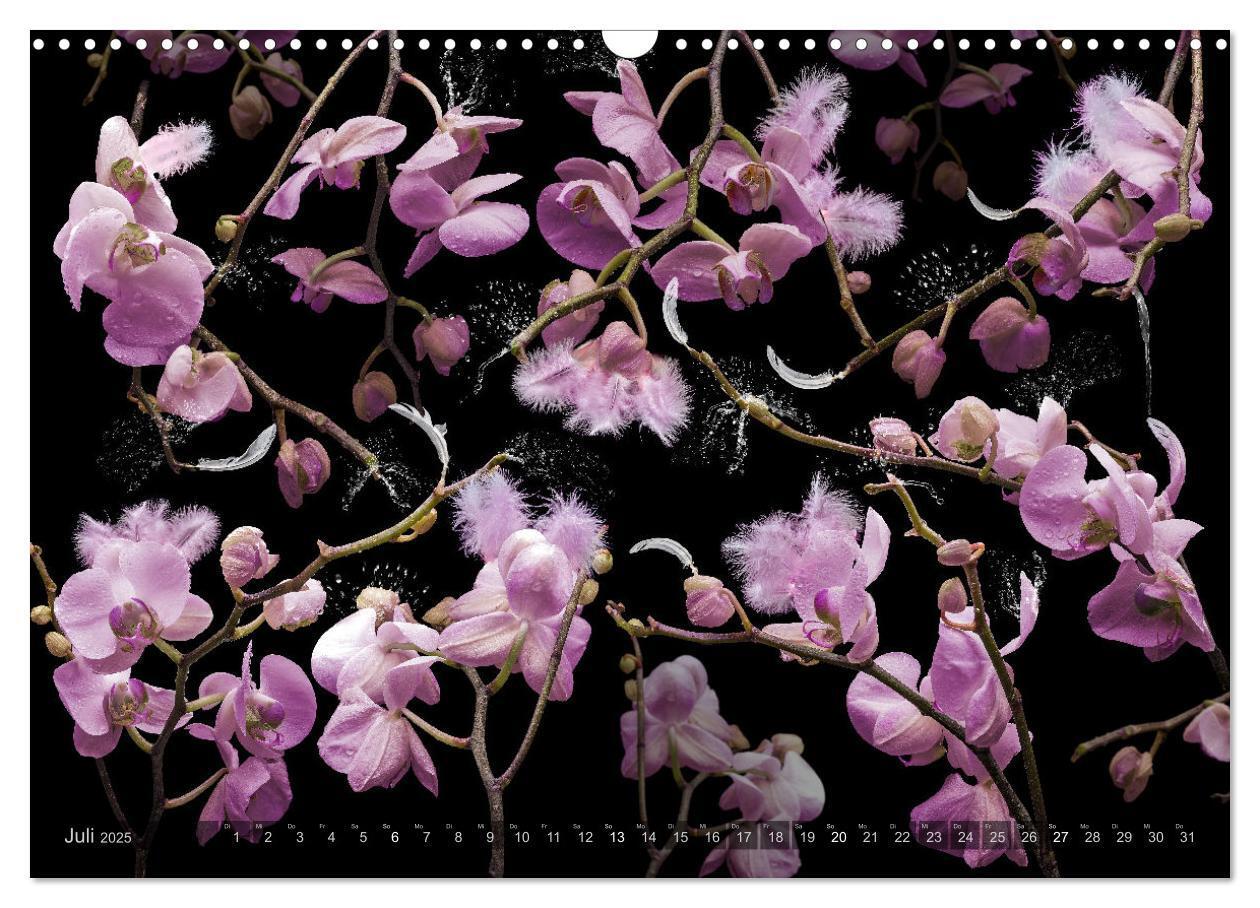 Bild: 9783383852251 | Orchidea (Wandkalender 2025 DIN A3 quer), CALVENDO Monatskalender