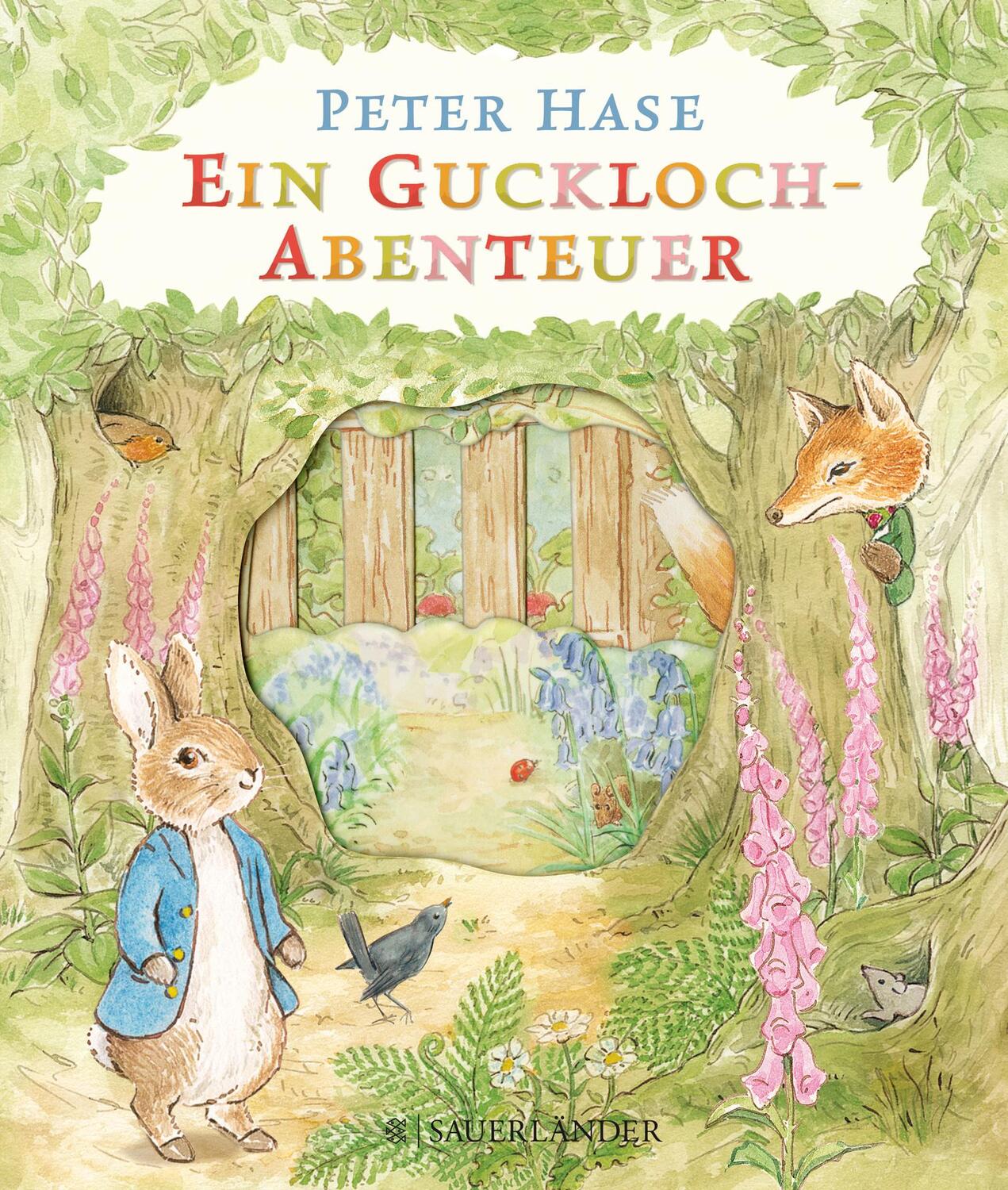 Cover: 9783737355537 | Peter Hase Ein Guckloch-Abenteuer | Beatrix Potter | Buch | Peter Hase