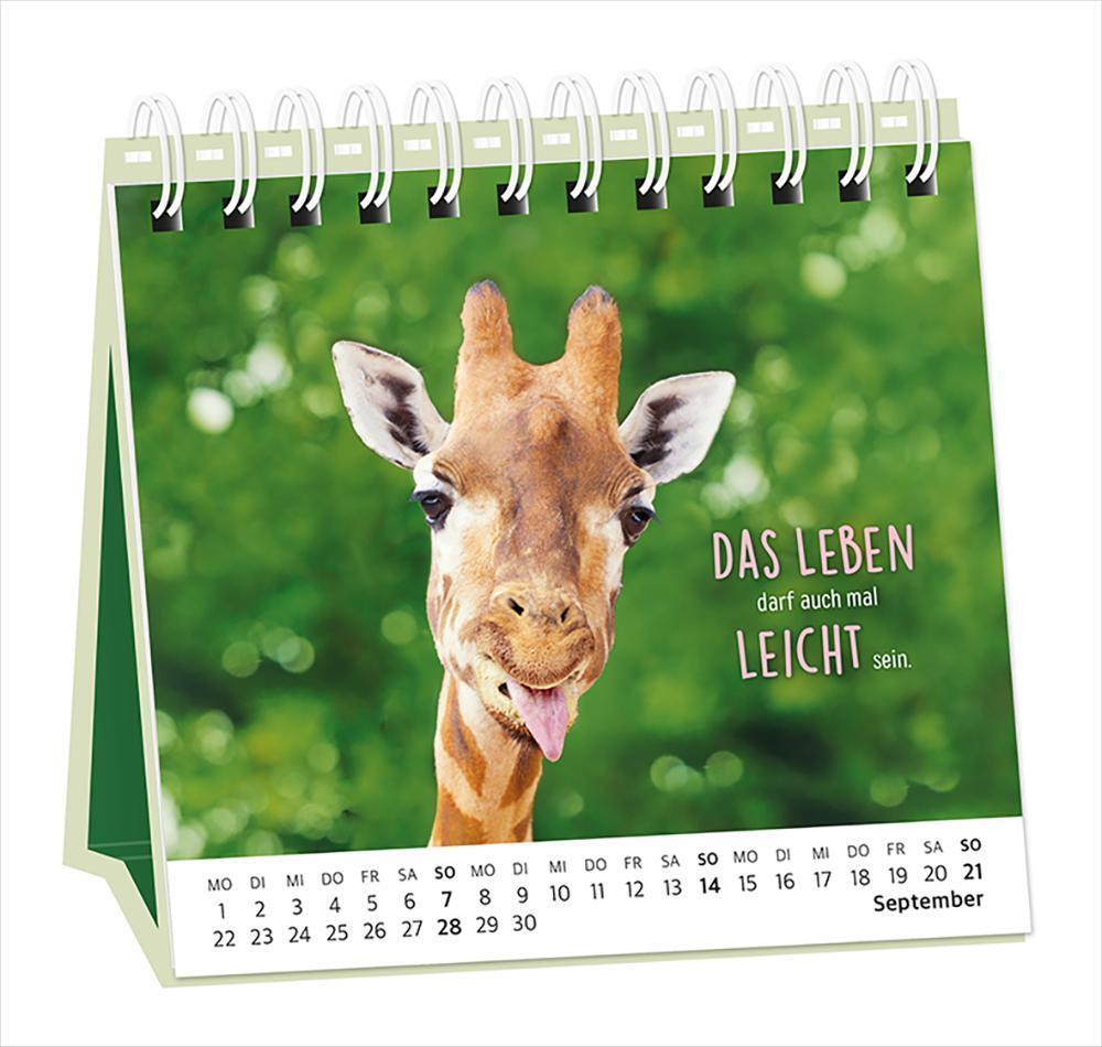 Bild: 9783986360948 | Tischkalender 2025 Happymacher | Tischkalender | Original | Kalender