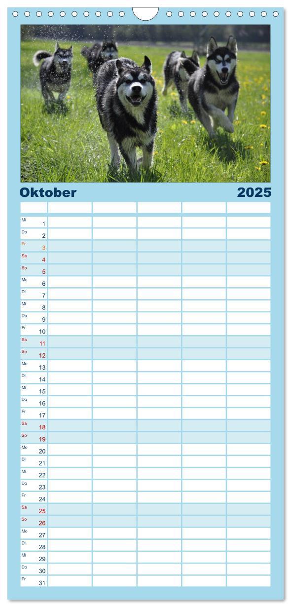 Bild: 9783457113264 | Familienplaner 2025 - Husky-Kalender mit 5 Spalten (Wandkalender,...