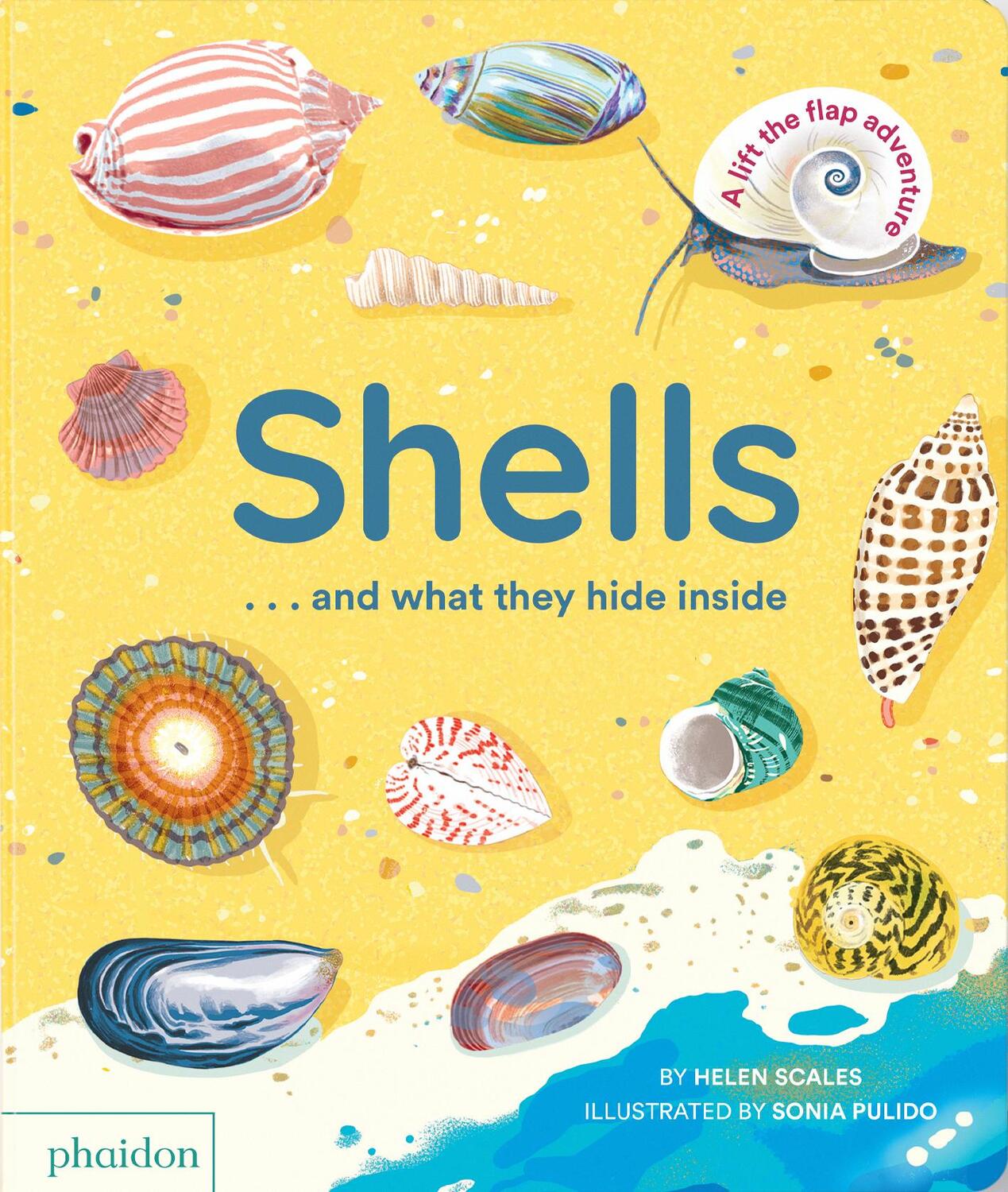 Cover: 9781838667887 | Shells... and what they hide inside | A Lift-the-Flap Adventure | Buch