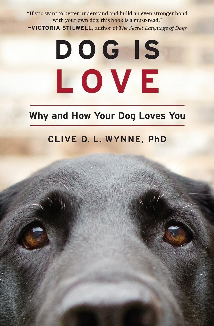 Cover: 9780358414230 | Dog Is Love | Why and How Your Dog Loves You | Clive D L Wynne | Buch