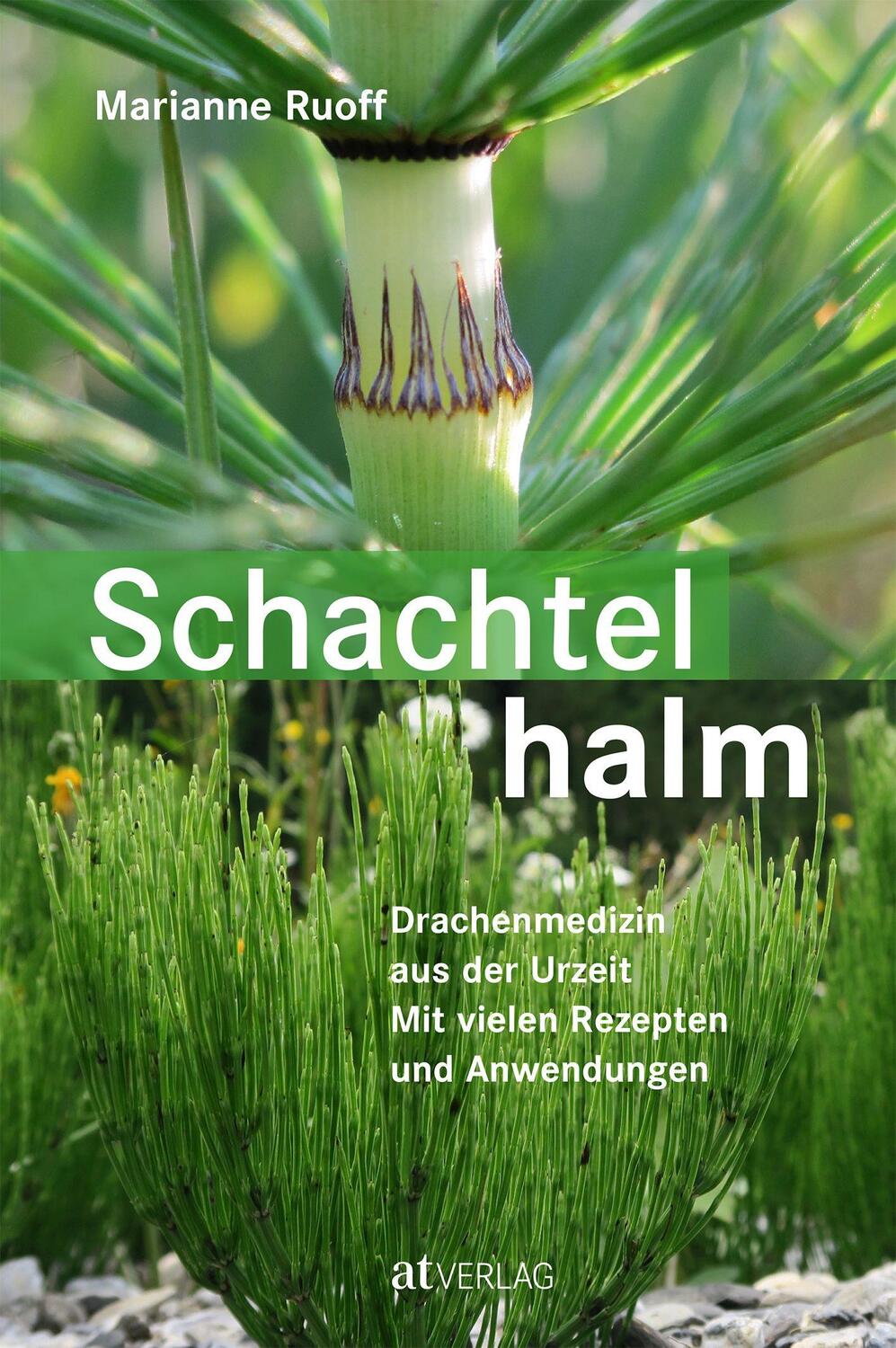 Cover: 9783038009993 | Schachtelhalm | Marianne Ruoff | Buch | Deutsch | 2019 | AT Verlag