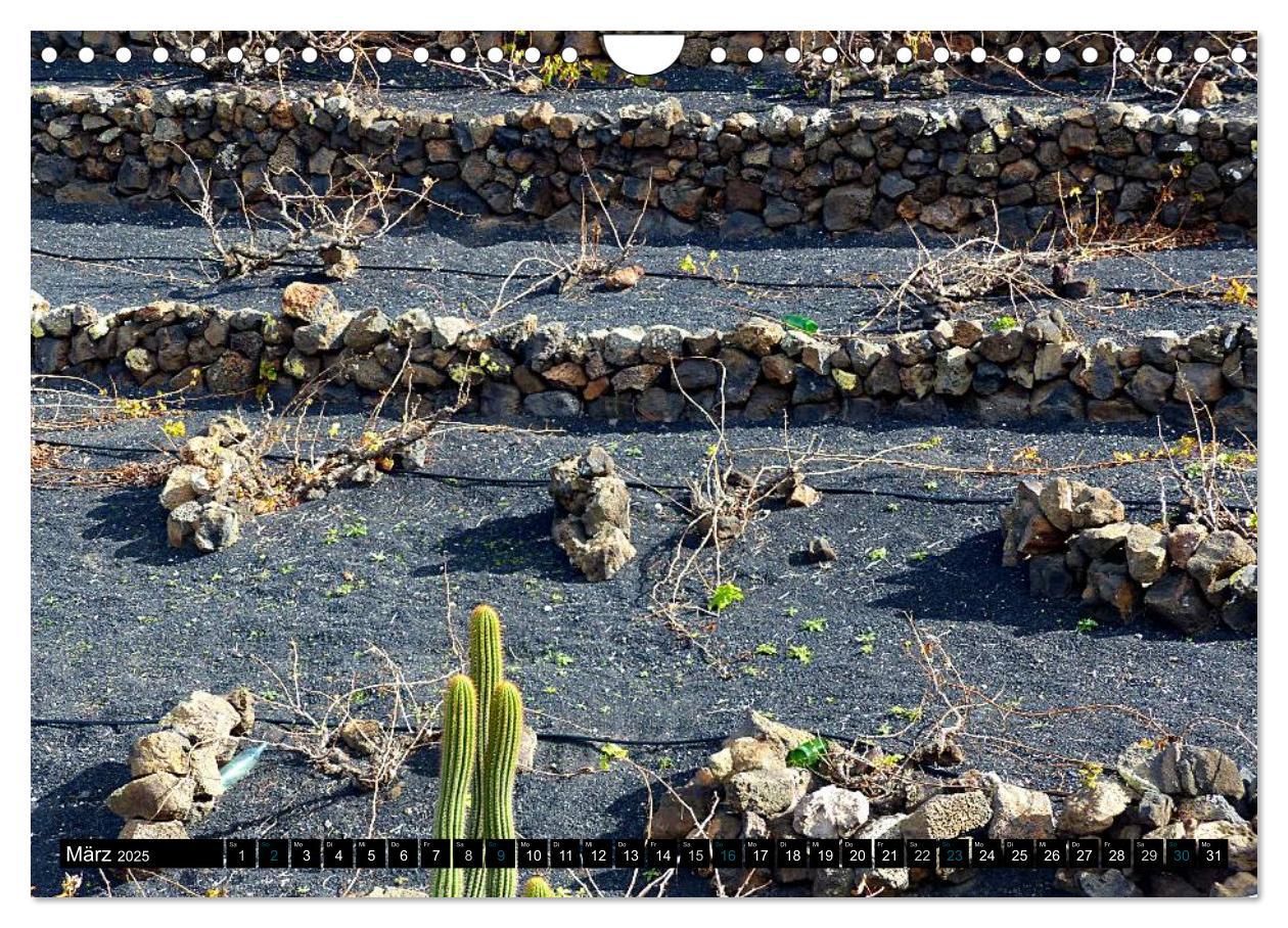 Bild: 9783435733118 | Vulkaninsel Lanzarote (Wandkalender 2025 DIN A4 quer), CALVENDO...