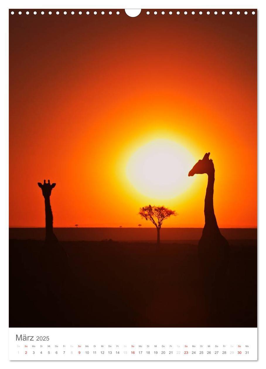 Bild: 9783457068632 | Magie des Augenblicks - Giraffen - Riesen der Savanne (Wandkalender...