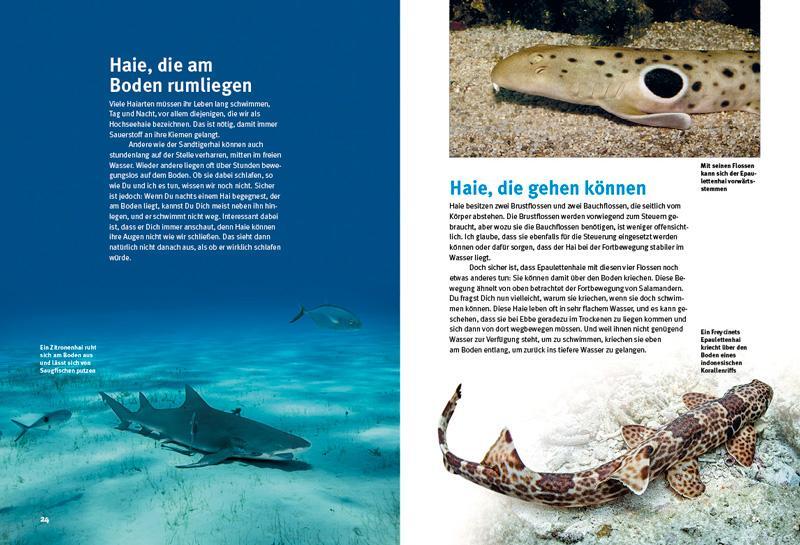 Bild: 9783866592681 | Entdecke die Haie | Erich Ritter | Buch | 64 S. | Deutsch | 2015