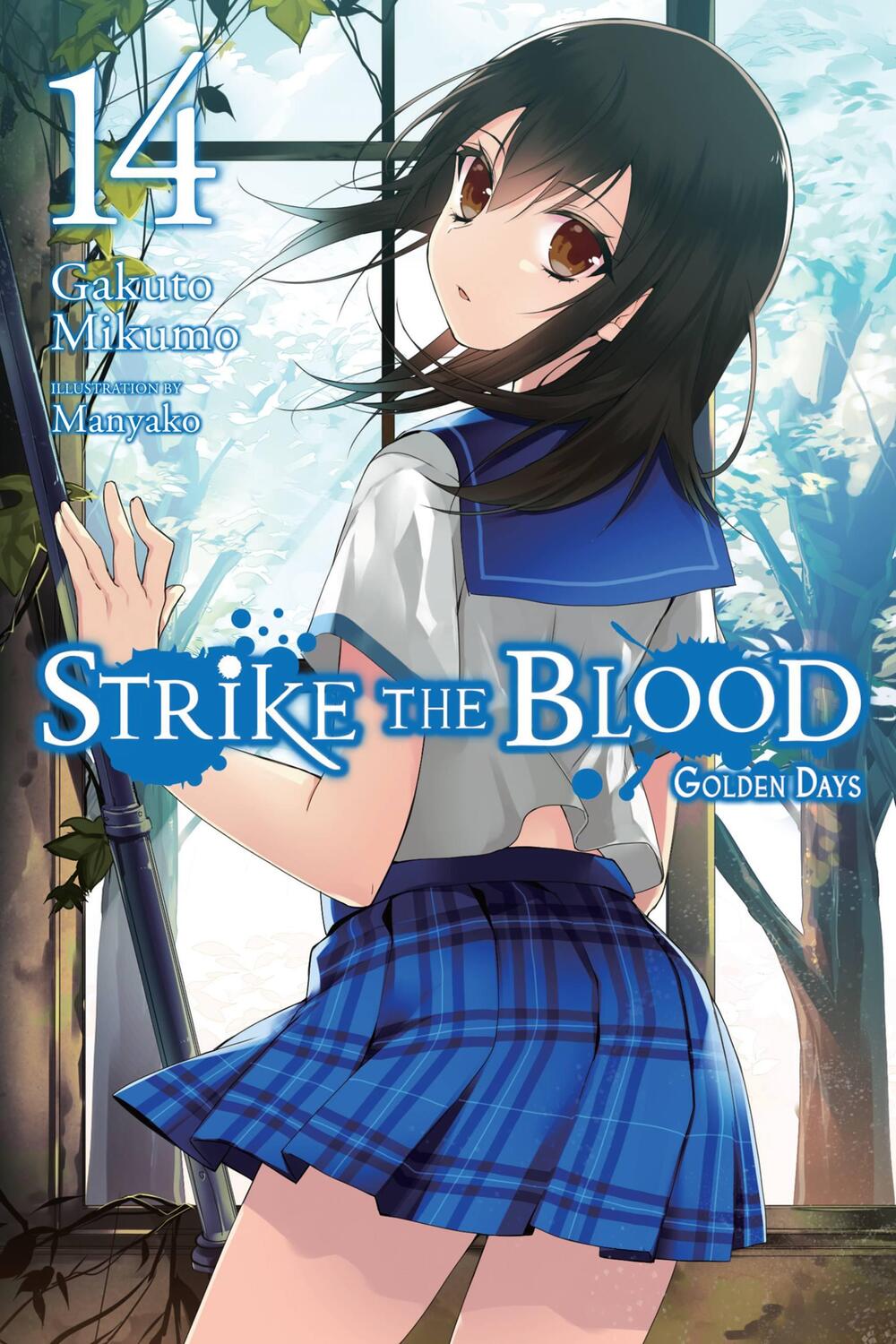Cover: 9781975332587 | Strike the Blood, Vol. 14 (light novel) | Gakuto Mikumo | Taschenbuch