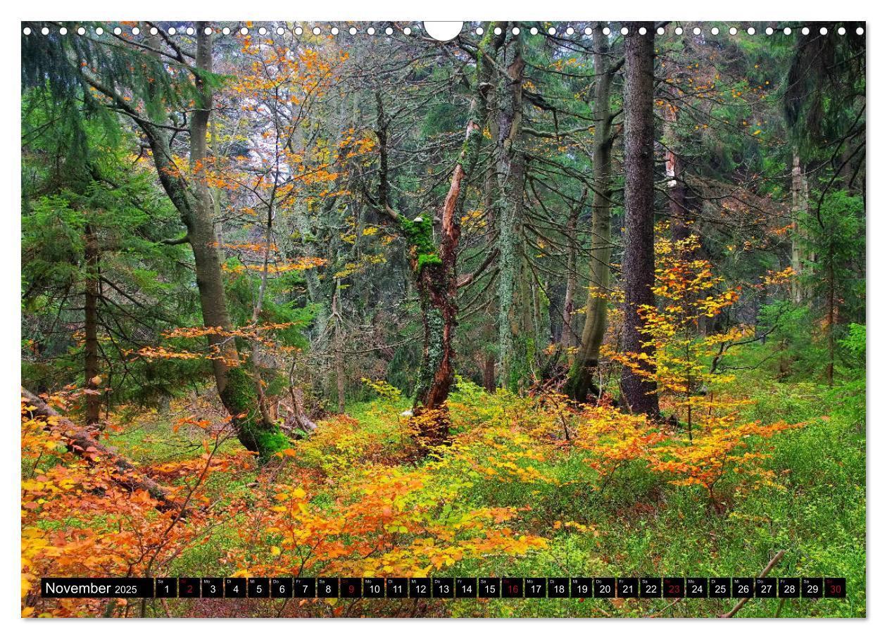 Bild: 9783435340682 | Riesengebirge - Zwischen Schlesien und Böhmen (Wandkalender 2025...