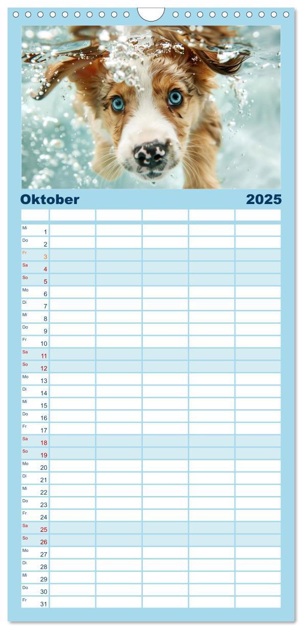 Bild: 9783457195499 | Familienplaner 2025 - Hunde und Wasser mit 5 Spalten (Wandkalender,...