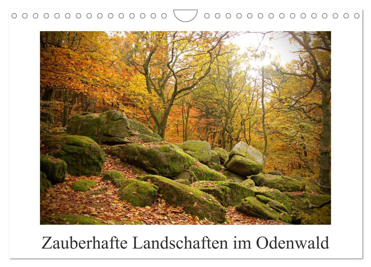 Cover: 9783435405565 | Zauberhafte Landschaften im Odenwald (Wandkalender 2025 DIN A4...