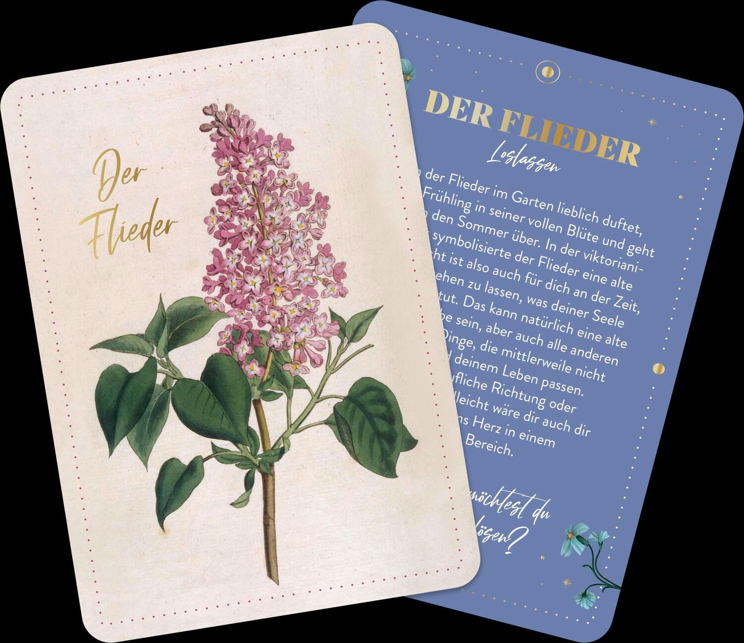 Bild: 4036442011508 | Die geheimnisvolle Sprache der Blumen - 50 Orakelkarten für das...