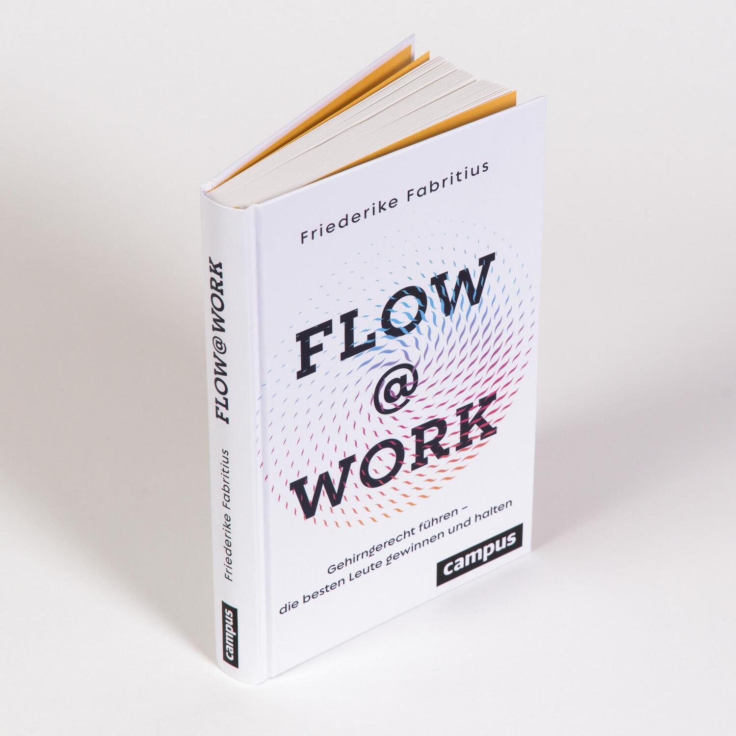 Bild: 9783593516448 | Flow@Work | Friederike Fabritius | Buch | Deutsch | 2022 | Campus