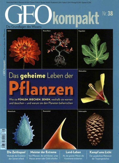 Cover: 9783652003483 | Das geheime Leben der Pflanzen | GEOkompakt 38/2014 | Taschenbuch
