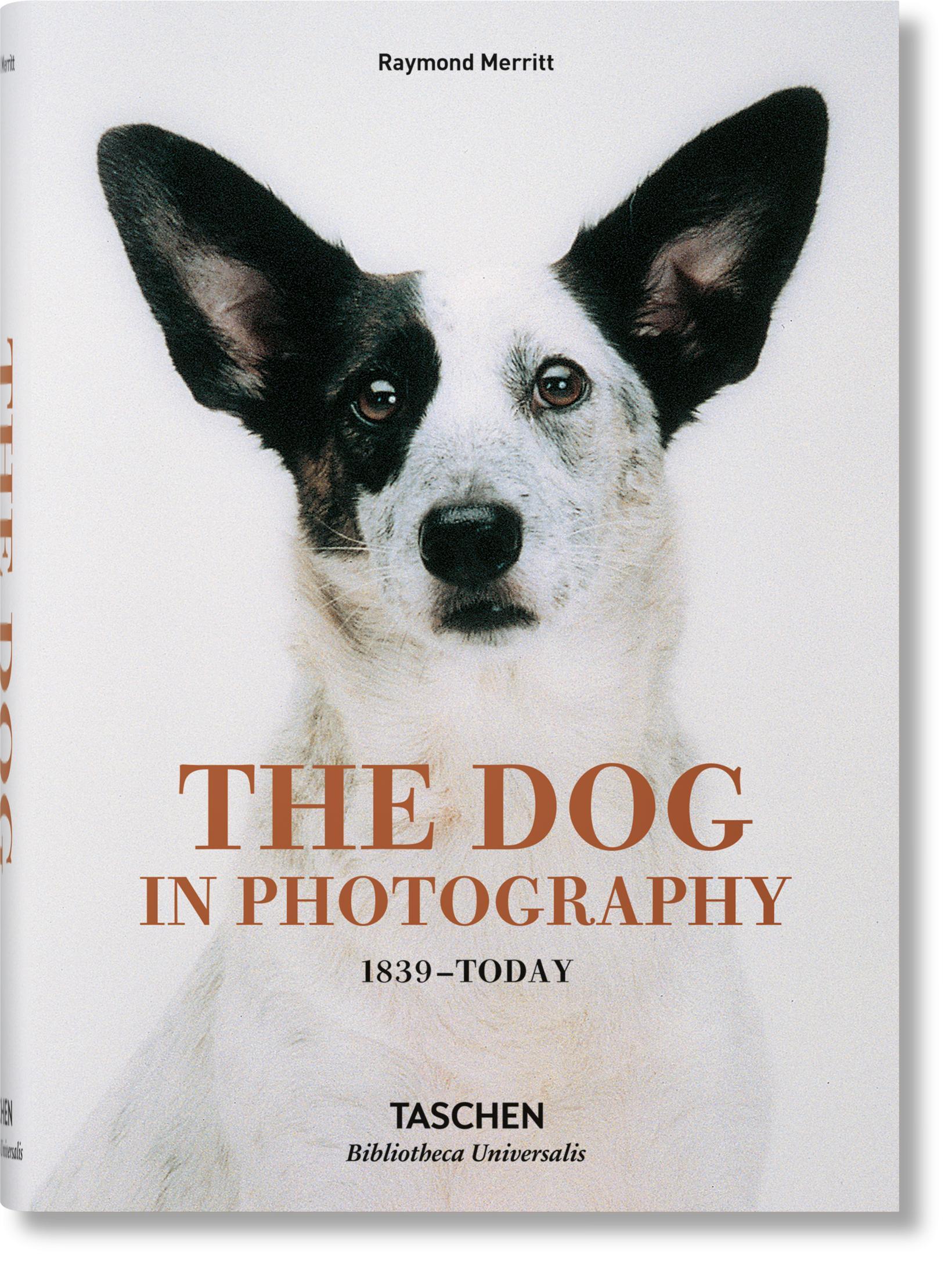 Cover: 9783836567473 | The Dog in Photography 1839-Today | Raymond Merritt | Buch | Hardcover