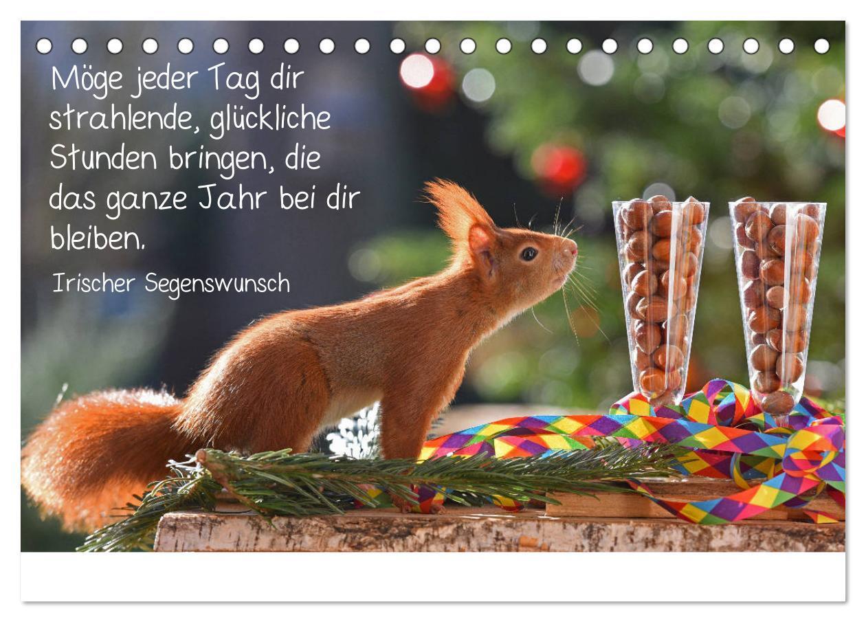 Bild: 9783435433247 | Der literarische Eichhörnchen-Kalender (Tischkalender 2025 DIN A5...