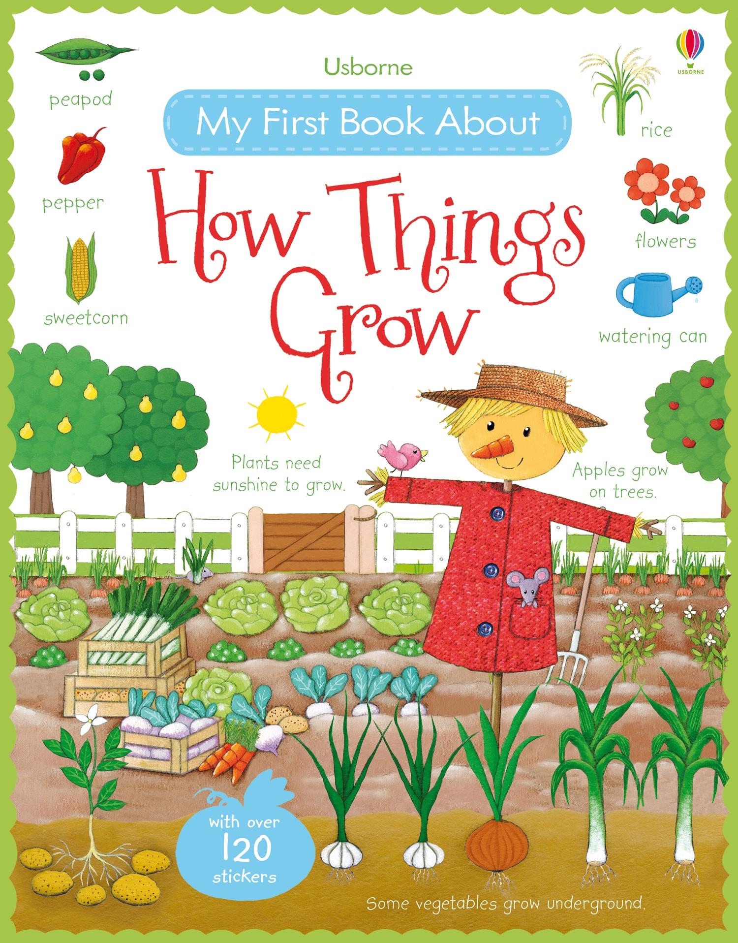 Cover: 9781409593584 | My First Book About How Things Grow | Felicity Brooks | Taschenbuch