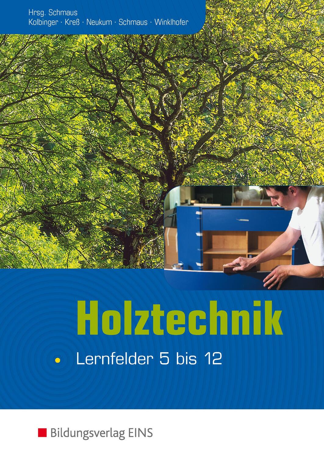 Cover: 9783427701422 | Holztechnik - Lernfelder 5 bis 12 | Lehr-/Fachbuch | Kolbinger (u. a.)