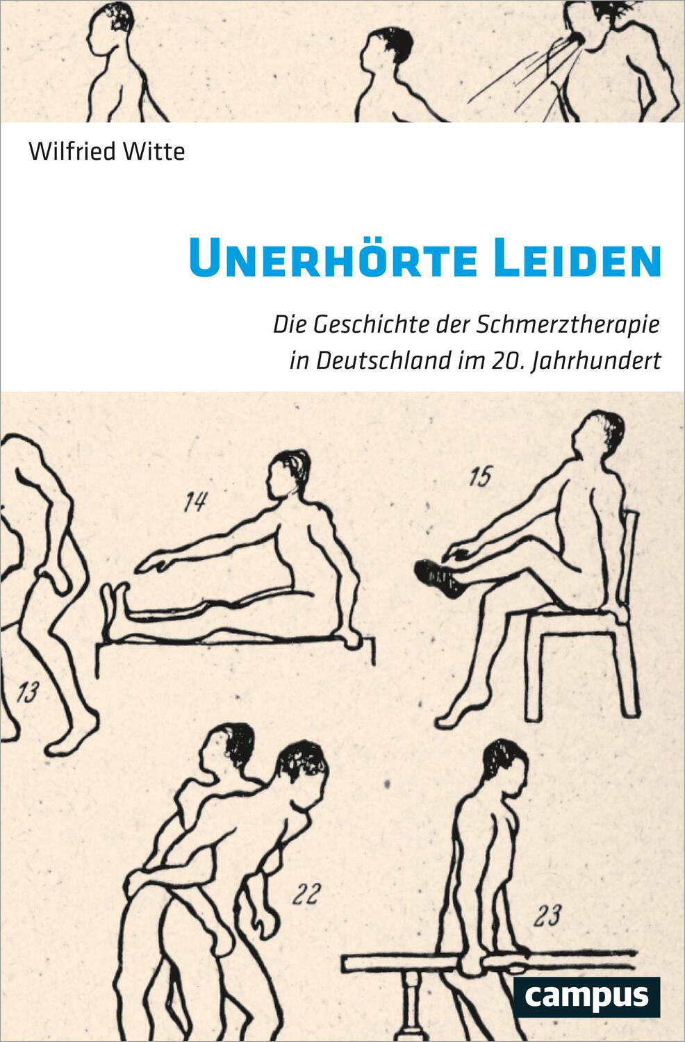 Cover: 9783593506609 | Unerhörte Leiden | Wilfried Witte | Taschenbuch | 402 S. | Deutsch