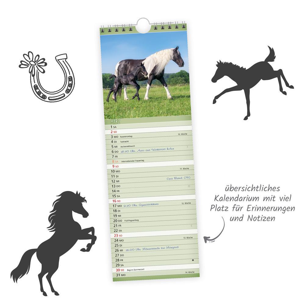 Bild: 9783988022585 | Trötsch Streifenkalender Pferde 2025 Notizkalender | KG | Kalender
