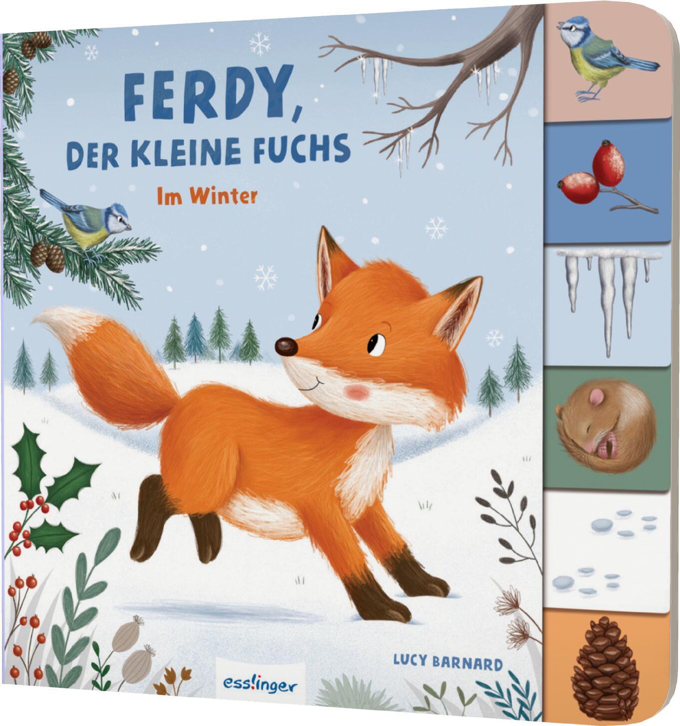 Cover: 9783480238217 | Mein erstes Jahreszeitenbuch: Ferdy, der kleine Fuchs | Anja Kiel