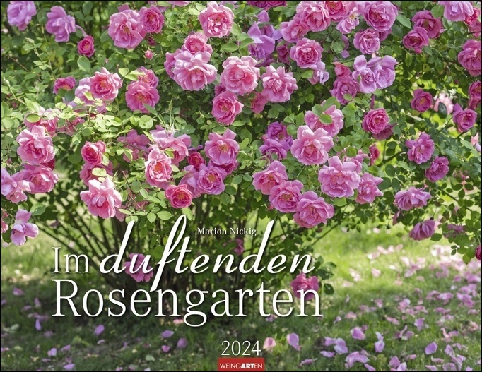 Cover: 9783840085567 | Im duftenden Rosengarten Kalender 2024. Wandkalender mit 12 Fotos...