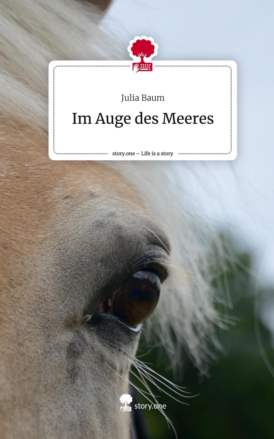 Cover: 9783711552884 | Im Auge des Meeres. Life is a Story - story.one | Julia Baum | Buch