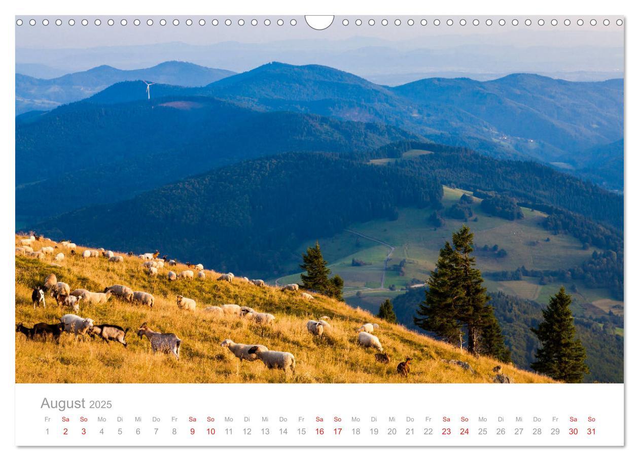 Bild: 9783435299195 | Der Schwarzwald Impressionen (Wandkalender 2025 DIN A3 quer),...