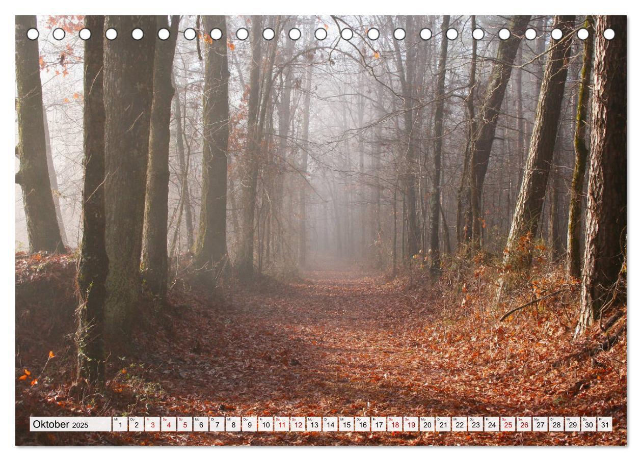 Bild: 9783435442898 | Göttererwachen. Die Natur im mystischen Nebel (Tischkalender 2025...