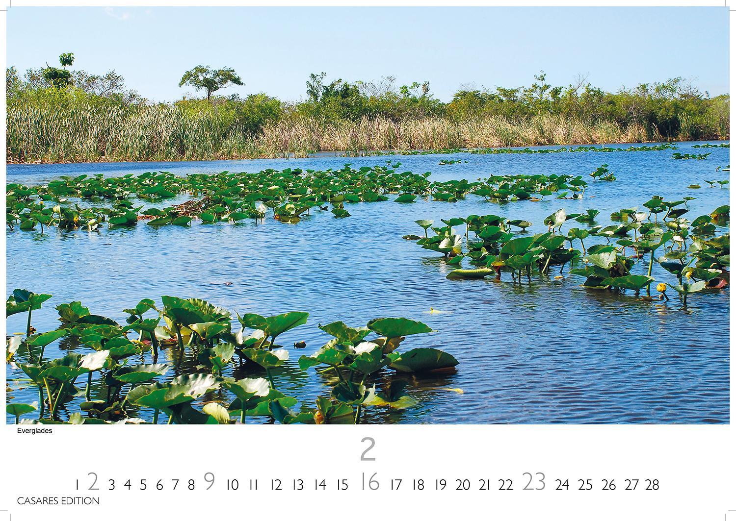 Bild: 9781835242773 | Florida 2025 S 24x35cm | Kalender | 14 S. | Deutsch | 2025