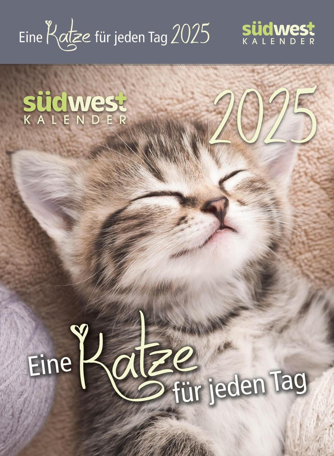 Cover: 9783517102986 | Eine Katze für jeden Tag 2025 - Tagesabreißkalender zum Aufstellen...