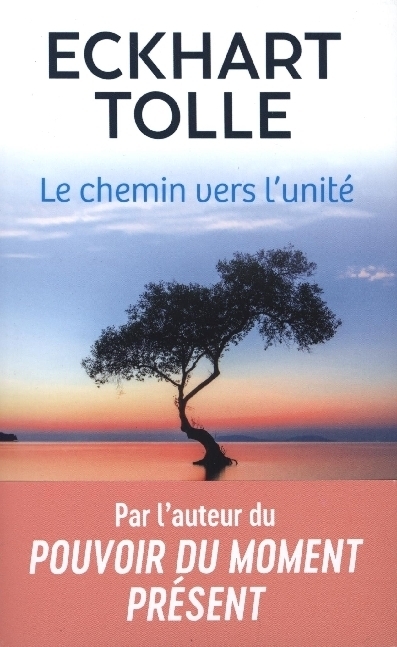 Cover: 9782290373880 | Le chemin vers l'unite | Eckhart Tolle | Taschenbuch | Französisch