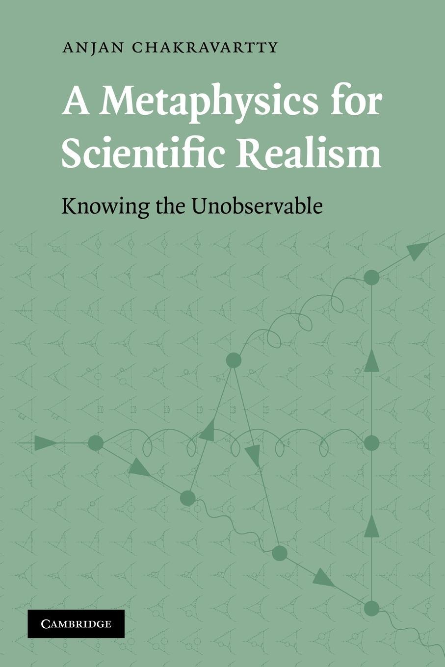 Cover: 9780521130097 | A Metaphysics for Scientific Realism | Knowing the Unobservable | Buch