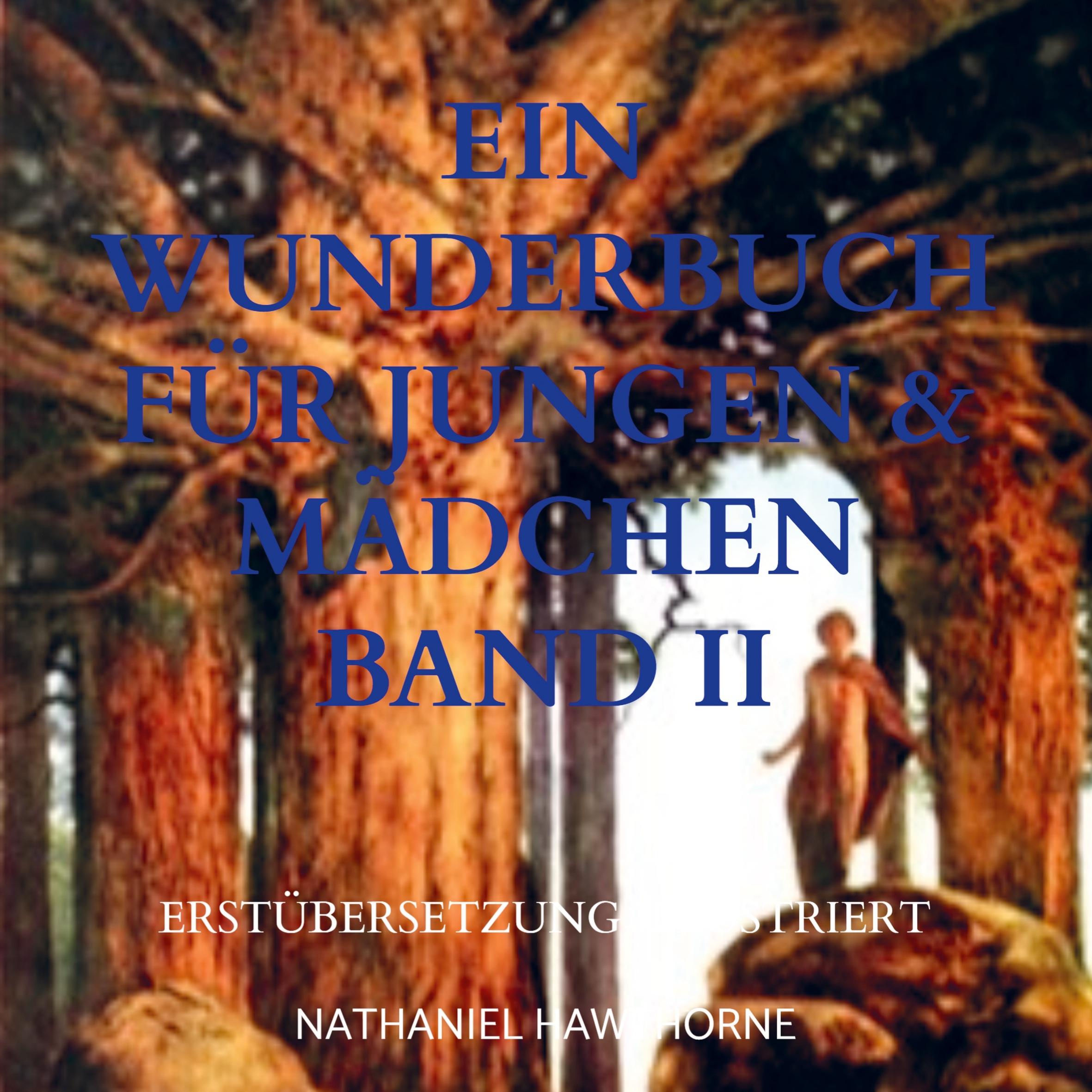 Cover: 9789403659220 | EIN WUNDERBUCH FÜR JUNGEN &amp; MÄDCHEN BAND II | Nathaniel Hawthorne