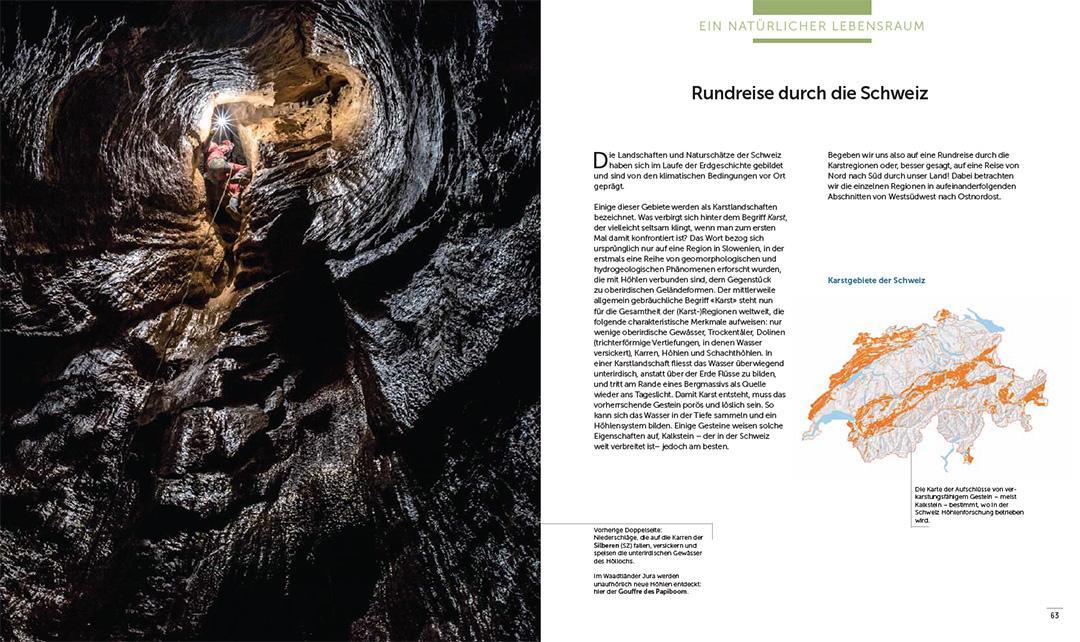 Bild: 9783258083476 | In den Höhlen der Schweiz | Vom Abenteuer zur Wissenschaft | Buch