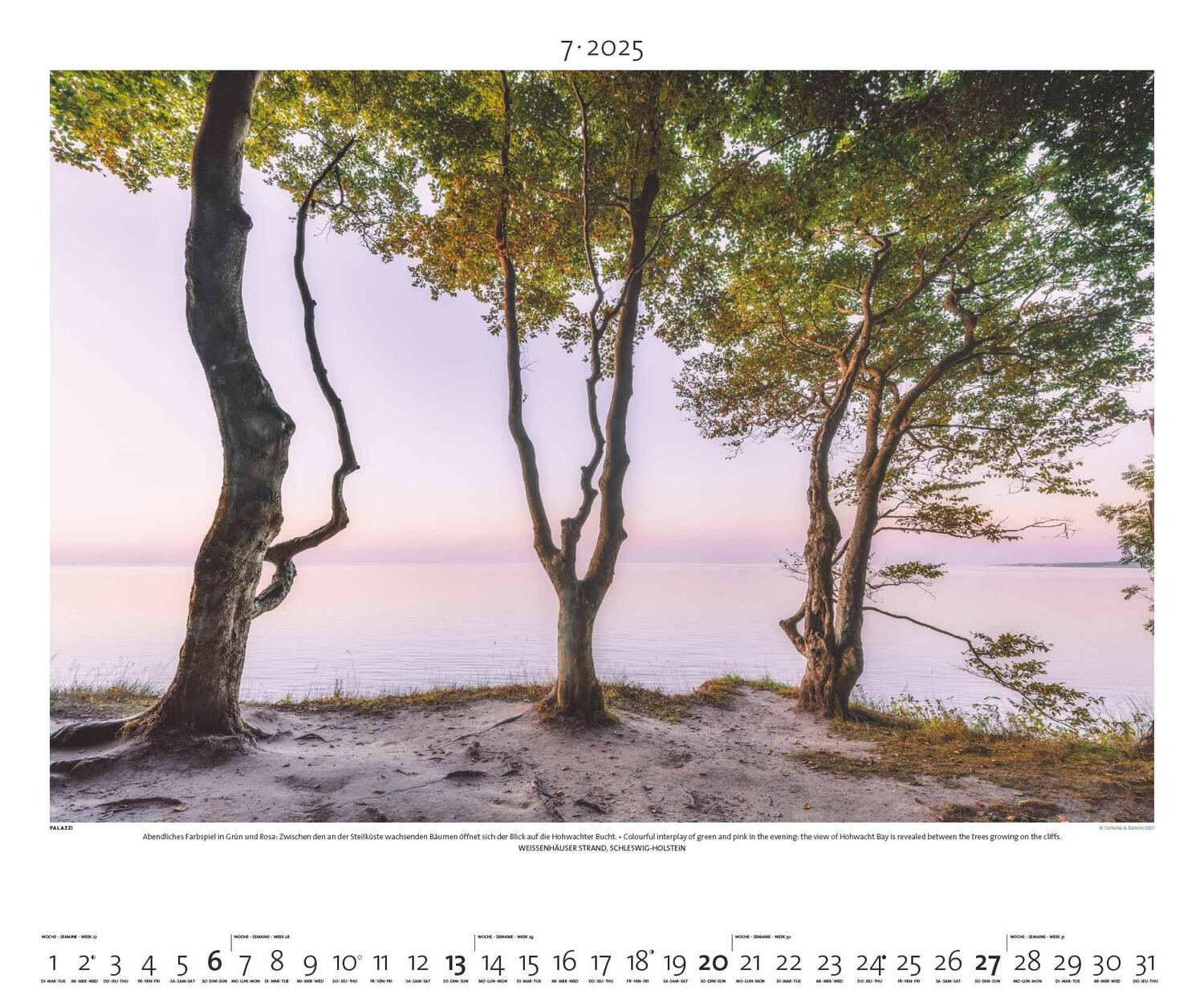 Bild: 4251734300683 | Nordisches Licht 2025 - Bild-Kalender - Poster-Kalender - 60x50 | 2025
