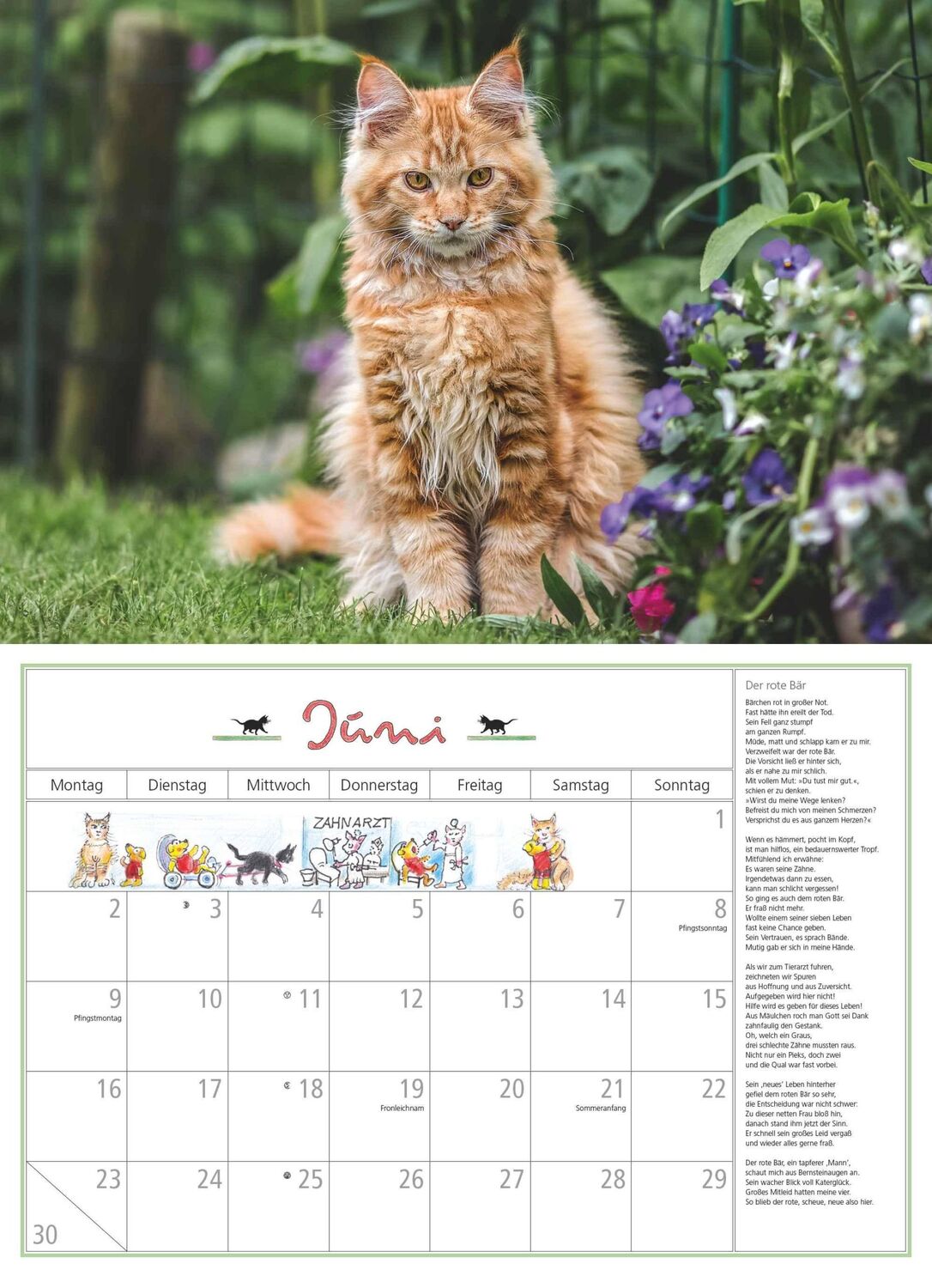 Bild: 4250809652412 | DUMONT - DUMONTS Katzenkalender 2025 Broschürenkalender, 42x29cm,...