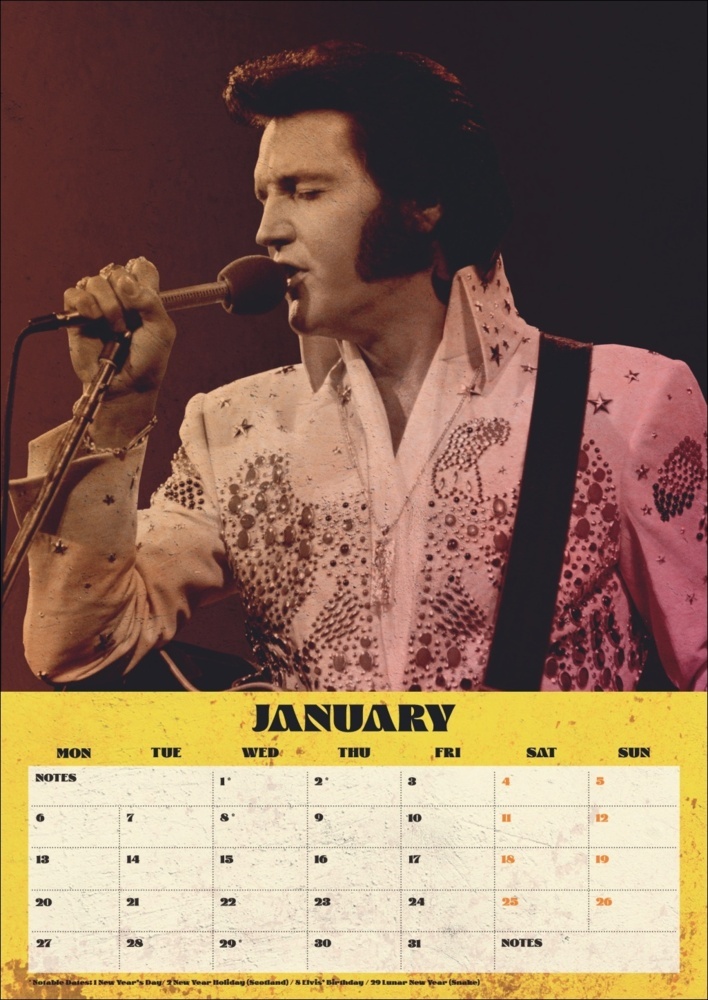 Bild: 9783840196720 | Elvis Posterkalender 2025 | Kalender | Spiralbindung | 14 S. | 2025