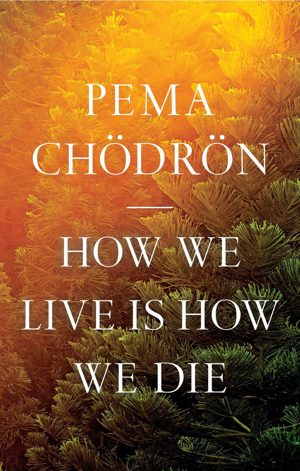 Cover: 9781611809244 | How We Live Is How We Die | Pema Chodron | Buch | Englisch | 2022