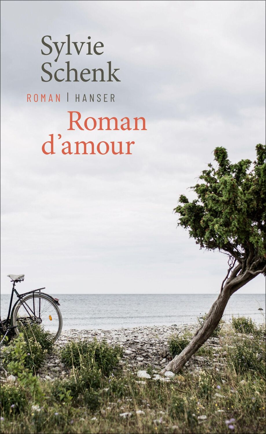 Cover: 9783446269224 | Roman d'amour | Roman | Sylvie Schenk | Buch | 128 S. | Deutsch | 2021