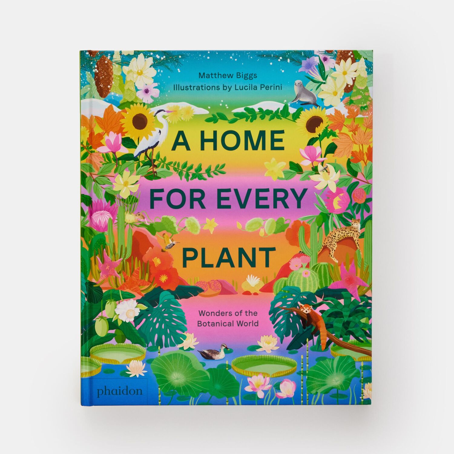 Bild: 9781838665937 | A Home for Every Plant | Wonders of the Botanical World | Biggs | Buch