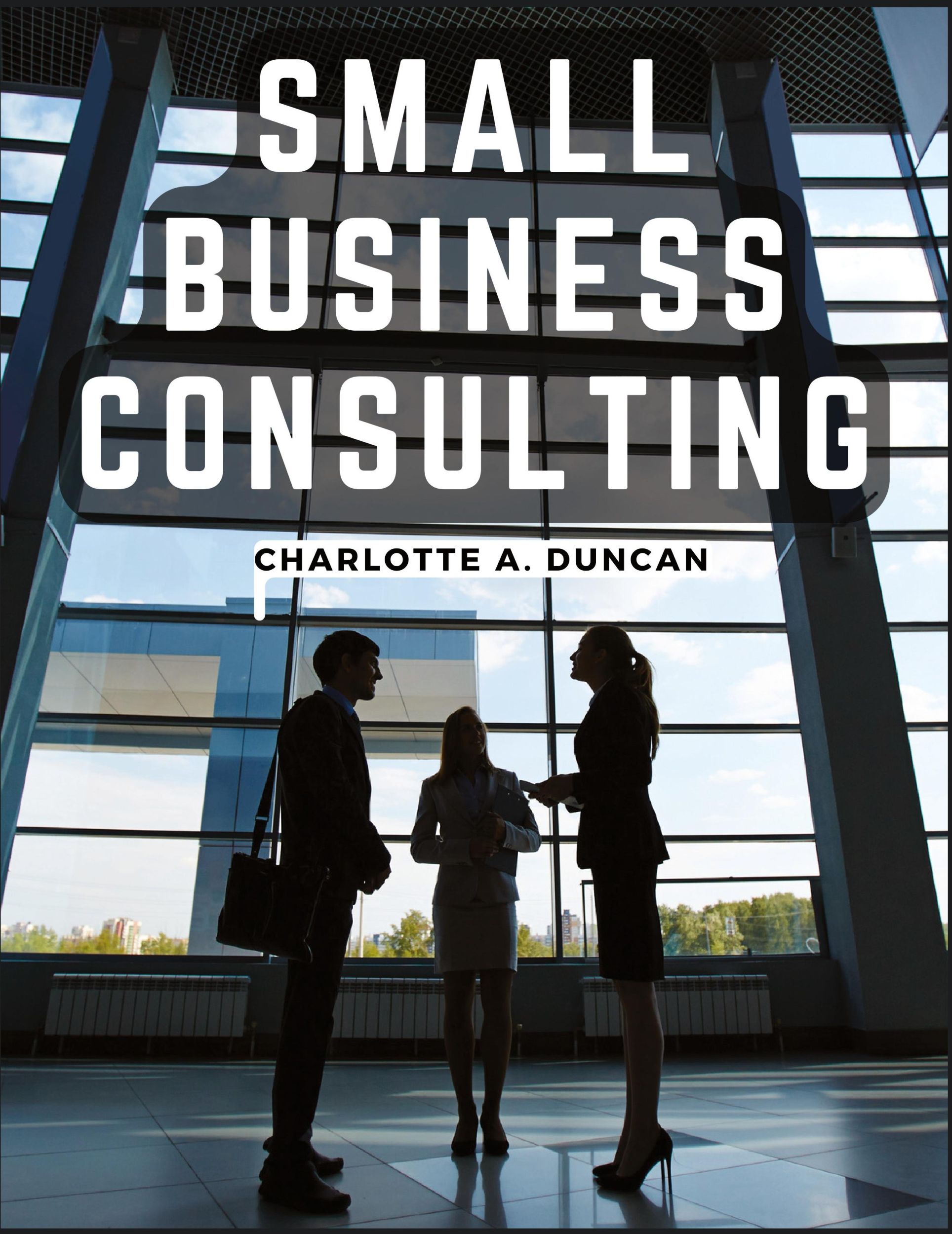 Cover: 9781835914250 | Small Business Consulting | A Roadmap to Personal Growth and Success