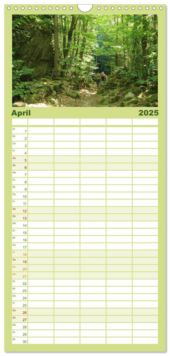 Bild: 9783457120149 | Familienplaner 2025 - Ischia mit 5 Spalten (Wandkalender, 21 x 45...