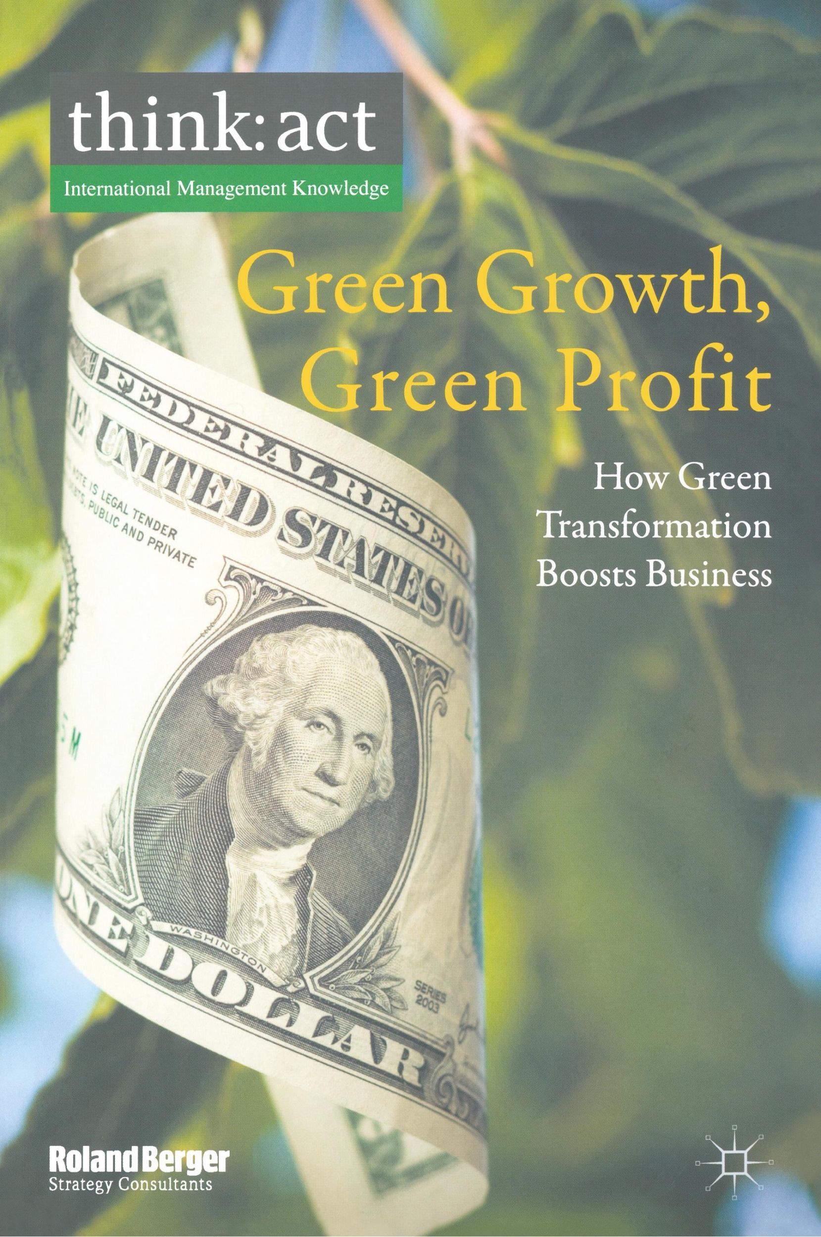 Cover: 9781349330560 | Green Growth, Green Profit | How Green Transformation Boosts Business